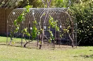 5116 W La Mirada Dr, Laveen, AZ 85339 - Photo 27