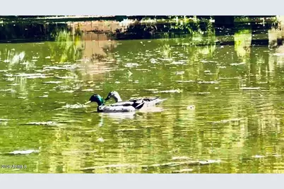 5116 W La Mirada Drive, Laveen, AZ 85339 - Photo 1