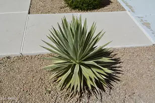 7637 E Calle De Las Brisas, Scottsdale, AZ 85255 - Photo 19