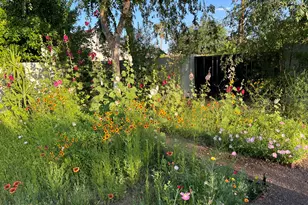 6511 E Monterosa St, Scottsdale, AZ 85251 - Photo 33