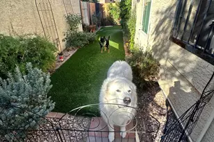 2232 E Fairview Ave, Mesa, AZ 85204 - Photo 19