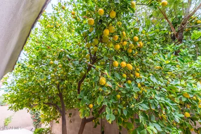 3067 S Halsted Drive, Chandler, AZ 85286 - Photo 7