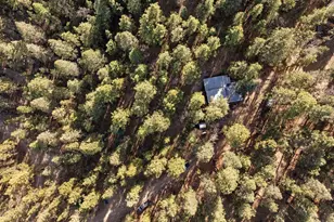 4455 E Accidental Ln, Prescott, AZ 86303 - Photo 9