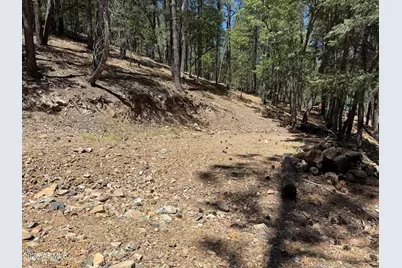 4455 E Accidental Lane, Prescott, AZ 86303 - Photo 43