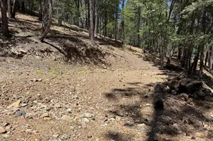 4455 E Accidental Ln, Prescott, AZ 86303 - Photo 43