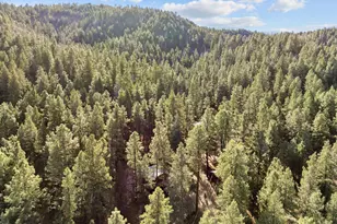 4455 E Accidental Ln, Prescott, AZ 86303 - Photo 49