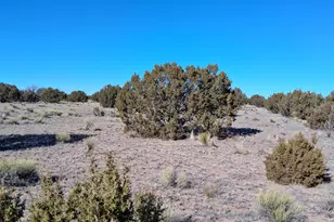 24 County Rd N6578, Saint Johns, AZ 85936 - Photo 1