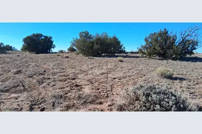 24 County Road N6578 -- #857, Saint Johns, AZ 85936 - Photo 3