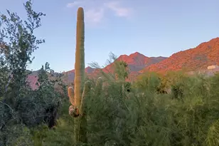 13928 E Lupine Ave, Scottsdale, AZ 85259 - Photo 63