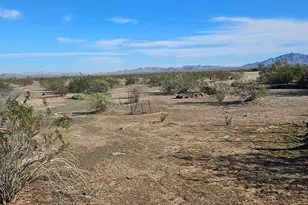 0 W Camino Real --, Buckeye, AZ 85326 - Photo 5