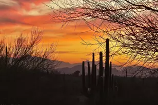 7220 E Mary Sharon Dr, Scottsdale, AZ 85266 - Photo 27