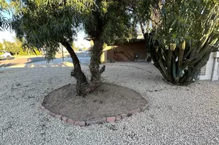 3517 W Willow Ave, Phoenix, AZ 85029 - Photo 45