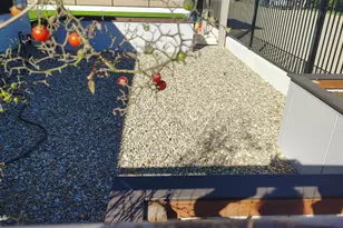 15420 E Via Del Rancho, Gilbert, AZ 85298 - Photo 45