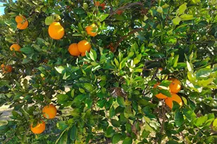 15420 E Via Del Rancho, Gilbert, AZ 85298 - Photo 9