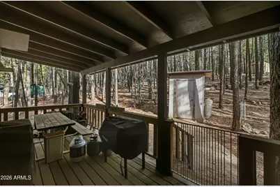 463 Long Valley Road, Happy Jack, AZ 86024 - Photo 17