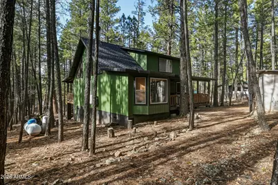 463 Long Valley Road, Happy Jack, AZ 86024 - Photo 23