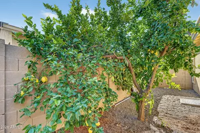 4212 E Washington Court, Gilbert, AZ 85234 - Photo 41