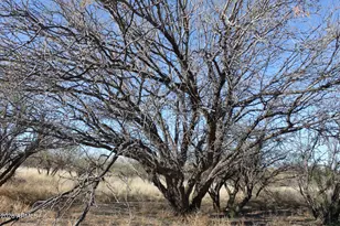 7197 S Pintek Ln, Hereford, AZ 85615 - Photo 19