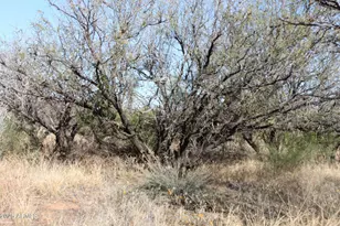 7197 S Pintek Ln, Hereford, AZ 85615 - Photo 17