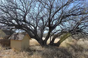 7197 S Pintek Ln, Hereford, AZ 85615 - Photo 19