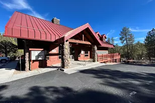 4020 S Elk Trot Loop, Show Low, AZ 85901 - Photo 31