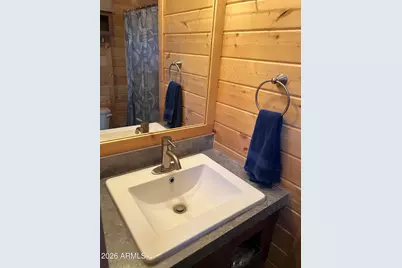 4020 S Elk Trot Loop, Show Low, AZ 85901 - Photo 23