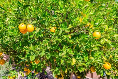 16822 W Halifax Street, Surprise, AZ 85374 - Photo 31