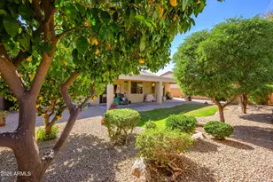 16822 W Halifax St, Surprise, AZ 85374 - Photo 31