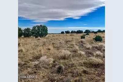 2 County Road N4016 -- #6, Saint Johns, AZ 85936 - Photo 3