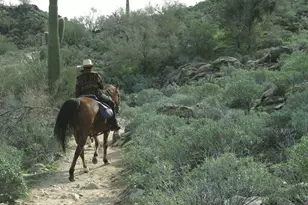 19003 W Sierra St, Surprise, AZ 85388 - Photo 37