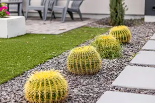 3118 N 42nd St, Phoenix, AZ 85018 - Photo 5