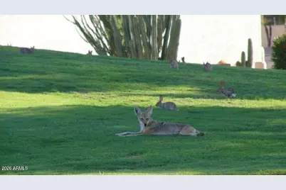 8255 E Kiva Avenue #454, Mesa, AZ 85209 - Photo 53