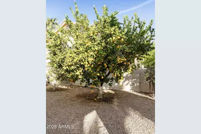 26609 S Truro Drive, Sun Lakes, AZ 85248 - Photo 37