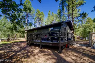 133 W Sky Hi Dr, Pinetop, AZ 85935 - Photo 11