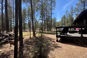 133 W Sky Hi Dr, Pinetop, AZ 85935 - Photo 21