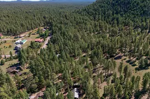 133 W Sky Hi Dr, Pinetop, AZ 85935 - Photo 15