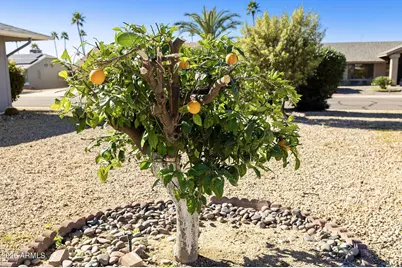 12646 W Butterfield Drive, Sun City West, AZ 85375 - Photo 51