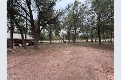 2953 Wildcat Trail, Overgaard, AZ 85933 - Photo 19