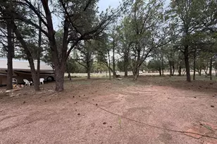 2953 Wildcat Trail, Overgaard, AZ 85933 - Photo 19