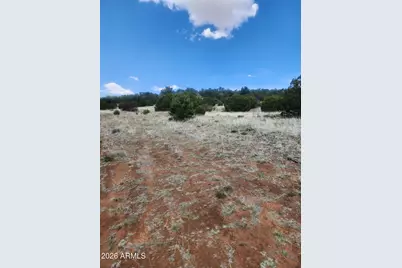 4 Acr 8410 -- #416, Concho, AZ 85924 - Photo 3