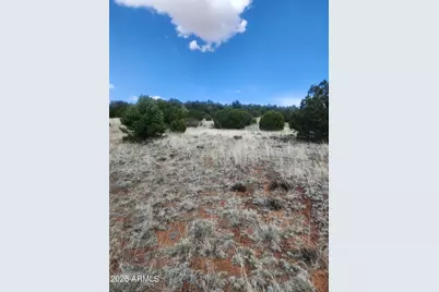4 Acr 8410 -- #416, Concho, AZ 85924 - Photo 5