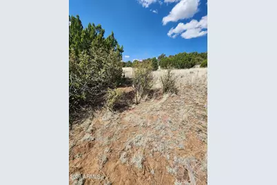 4 Acr 8410 -- #416, Concho, AZ 85924 - Photo 9