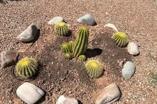 40831 W Shaver Dr, Maricopa, AZ 85138 - Photo 19