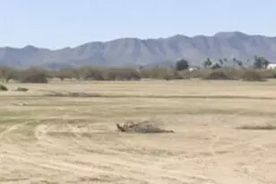 3055 W Cameron Dr, Eloy, AZ 85131 - Photo 1