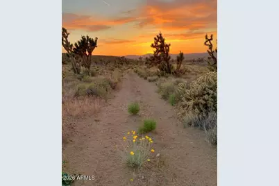 - Lake Mohave Ranchos Lot 357 -- #357, Dolan Springs, AZ 86441 - Photo 7