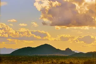 11523 E Dreyfus Ave, Scottsdale, AZ 85259 - Photo 1