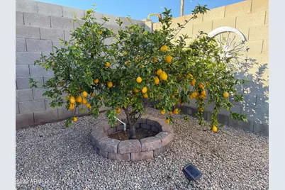 4140 W Paradise Drive, Phoenix, AZ 85029 - Photo 33