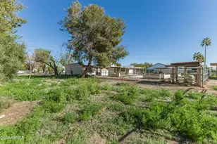 707 E Redfield Road E, Gilbert, AZ 85234 - Photo 49