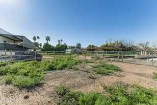 707 E Redfield Road E, Gilbert, AZ 85234 - Photo 5