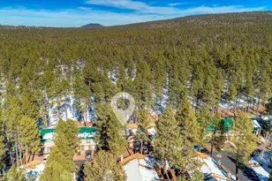 1460 S Adair Dr, Pinetop, AZ 85935 - Photo 27